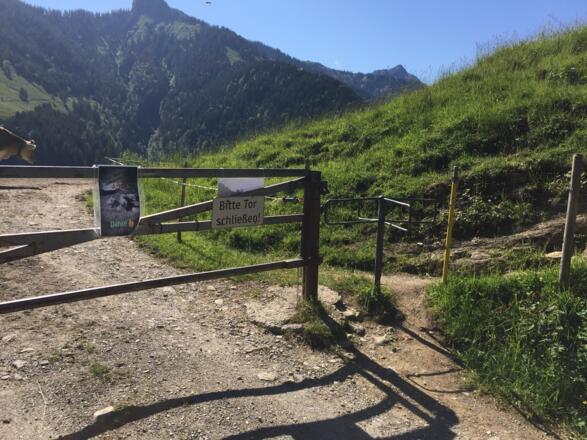 Hier nach dem Drehkreuz gleich rechts den schmlen Pfad hinauf steigen. Wegweiser fehlt hier.