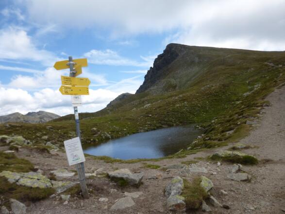 Von der Friesenhöhe zum Königstuhl