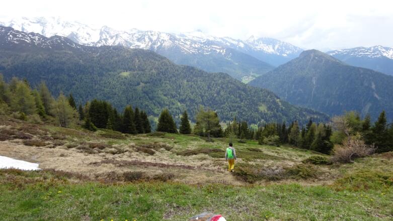 Der Abstieg über die Südflanke des Sumpfkopfs Richtung &quot;Edelraute&quot; ...