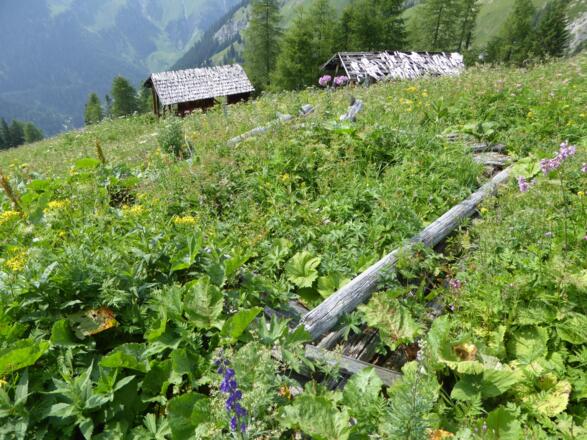 Reste weiterer Heuhütten