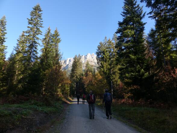 Zu Beginn folgen wir der Forststraße.
