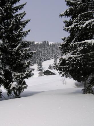 Bubenaualm