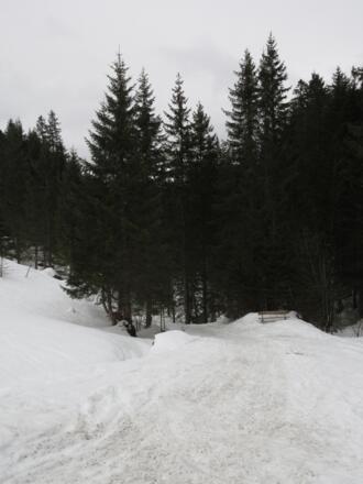 Abzweig auf den gewalzten Weg zurück nach Baad.