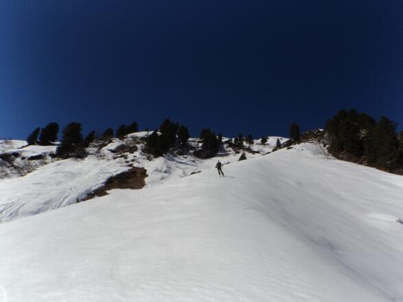 Im unteren Teil darf man nicht zu spät dran sein. Sonst über die Alpeinalm und den Winterweg retour zum Ausgangspunkt.