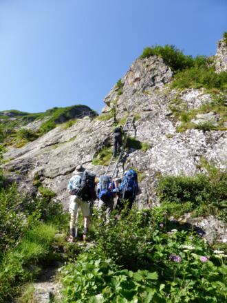 Leiter im Aufstieg