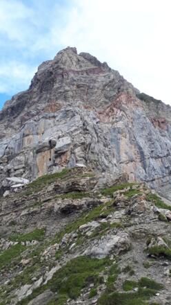 Rothorn - Steilschlag durch Steinböcke