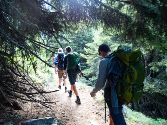 Wir erreichen die Baumgrenze und laufen durch den Wald weiter bis Mandarfen.