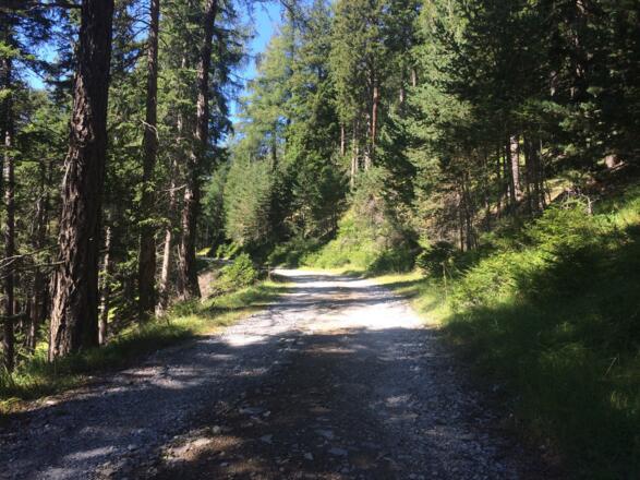 und es geht immer weiter Bergauf