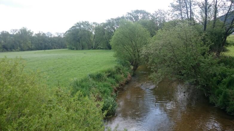 zum letzten Mal queren wir die Feldaist