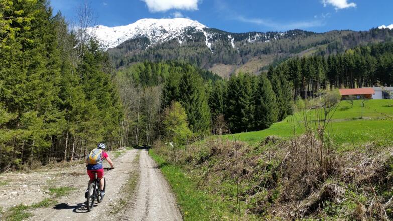 Auffahrt zum Kornergut am Fusse des Gr. Pyhrgas