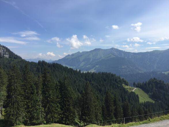 Blick in den Bregenzerwald