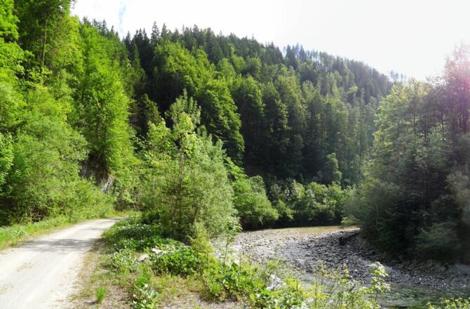 Schotterweg entlang des Reichramingbach