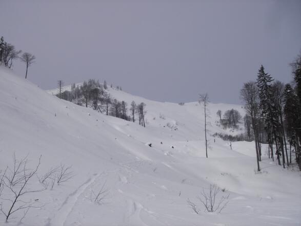 Wieser, Gipfelhang