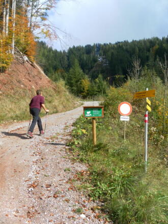 Abzweig in Almweg zur Steinrinn