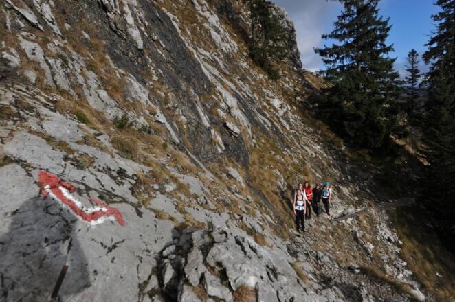 Am Mairalmsteig