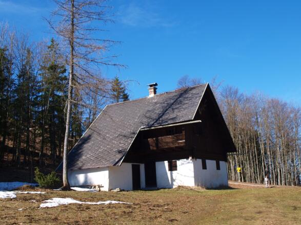 JH Sattelhalt 1010 m