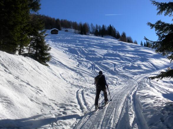 Schupferalm