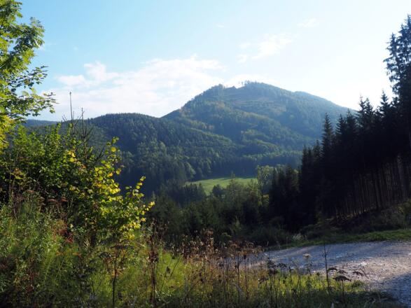 Steinmüllerberg 1099m, von der Rinnerberg-Tour gesehen