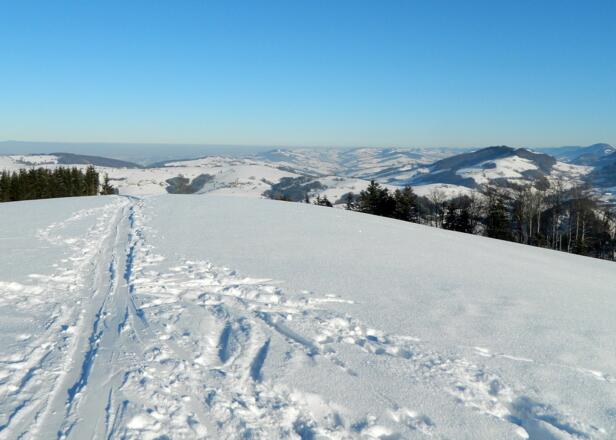 Weiterweg am Briefberg ostwärts