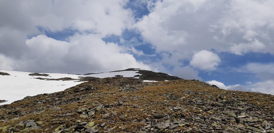 Den Rücken ausnutzend Richtung Gipfel