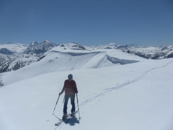 Rückweg am Kamm mit Ankogelblick