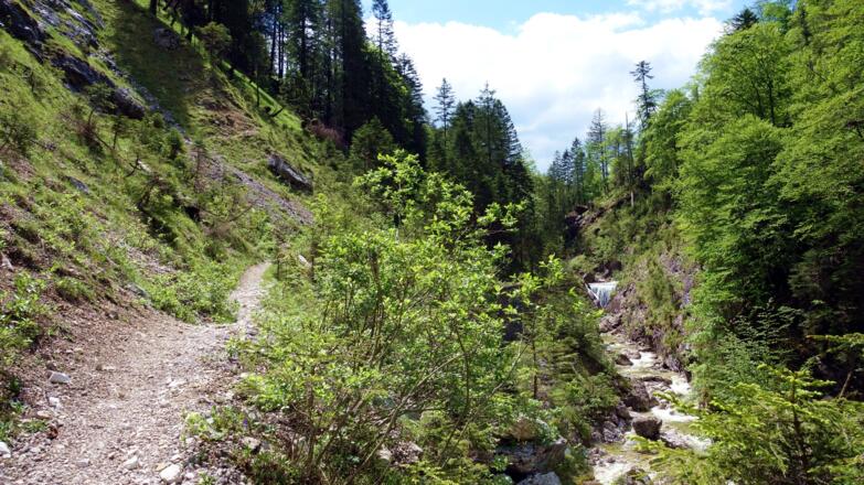 Pfad links der Schlucht um 880m