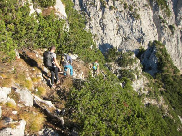 Der Abstieg in die Wechselscharte wird nicht sehr häufig begangen, trotzdem ist der Steig gut sichtbar und nicht zu verfehlen.