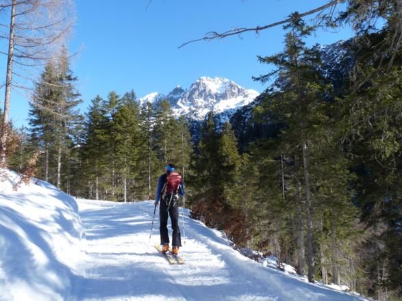 Ab ca. 1380 m öffnet sich das Marienbergtal mit Blick auf den Grünstein.
