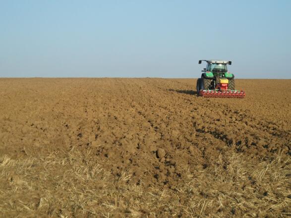 Diese Etappe des Weitwanderweges verläuft großteilt auf Feldwegen zwischen Agrarfeldern.