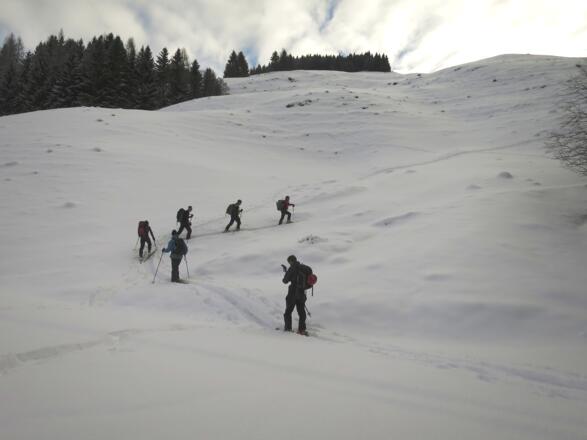 In der 6. Kehre erreicht man die große Lichtung, die zur ...