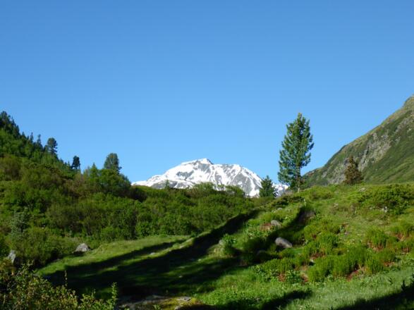 Torkopf und Valschavieler