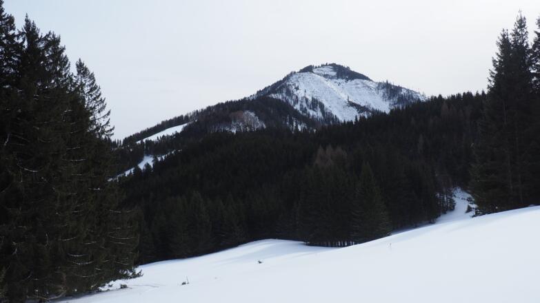 Viehberg 1415m vom Bärenkogel 854m