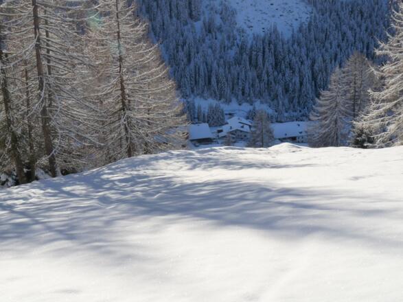 Blick hinunter zu den Grünhöfen.