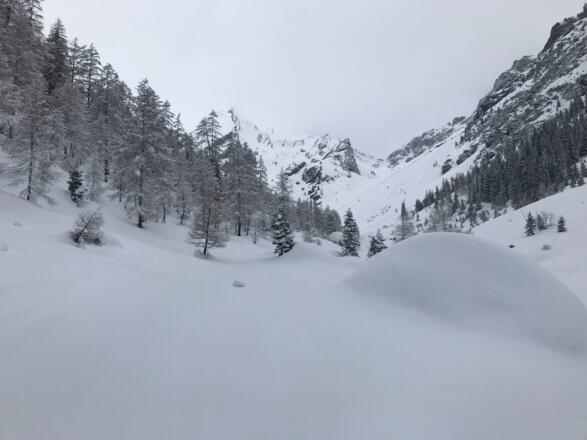 Blick Richtung Muttekopf