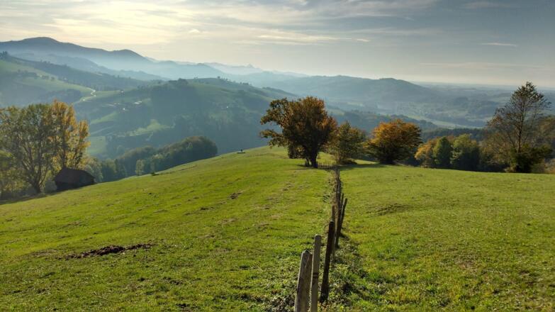 Wegverlauf über die Weiden hinunter nach Dambach