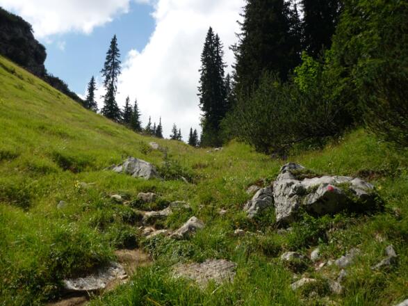 Wiesenweg