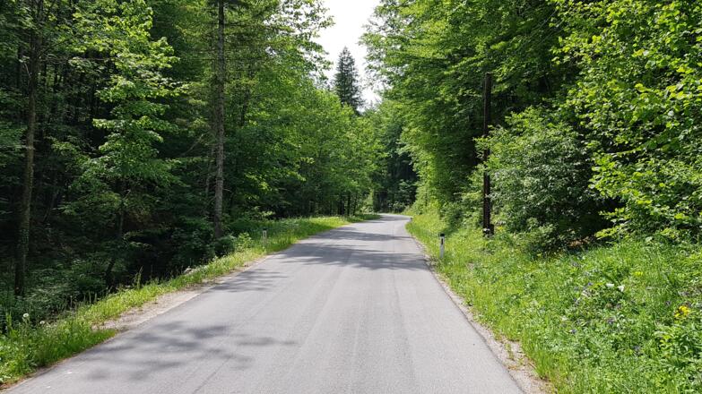 Abfahrt im Zogelsgraben