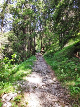 Schöner, schattiger Wanderweg im Wäldeletobel oberhalb Klösterle