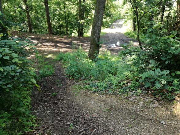 Weiterweg gerade über die Kreuzung