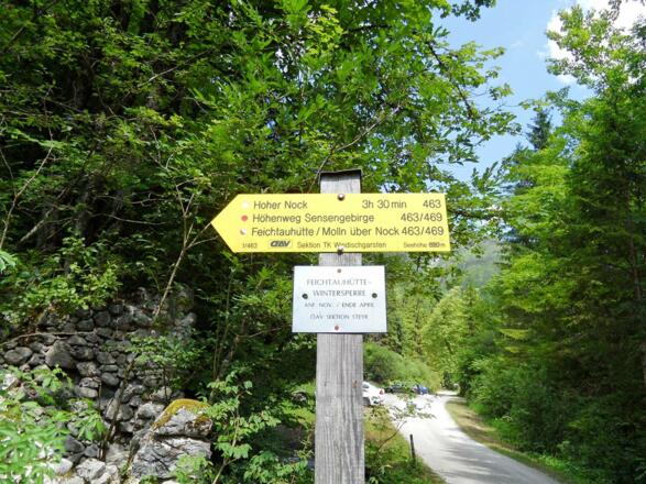Die Weg Nr. 463 führt zum Hohen Nock.