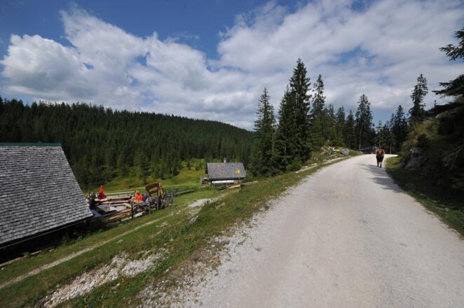 Wir folgen der Forststraße an der Grubenalm vorbei.