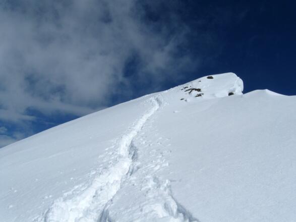 Die letzten Meter geht es dann zu Fuß fast eben am Grat entlang zum Gipfel.