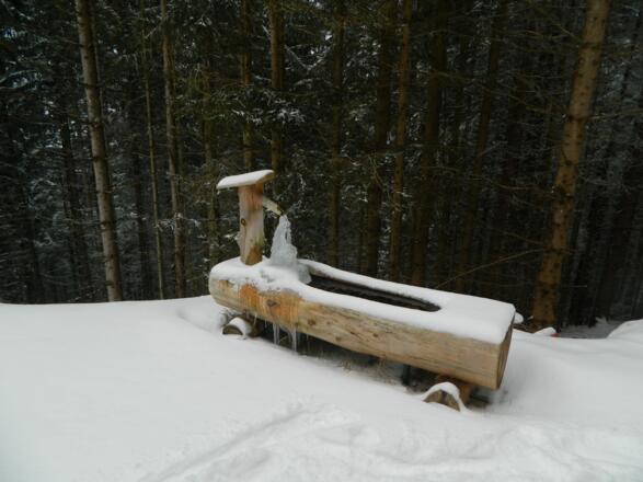Brunnen neben neuer Forststraße