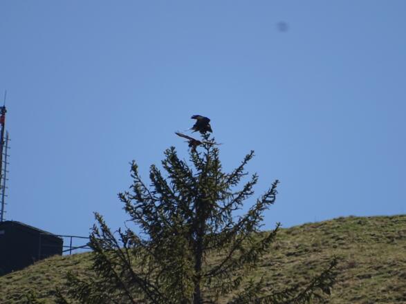 &quot;Das ist mein Platz!&quot;