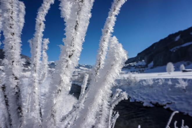 Naturschauspiel Raureif