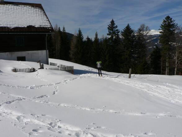 An der Inselbacher Alm folgen wir den Spuren in den Wald bergab