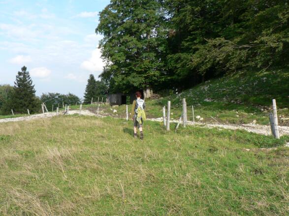 ... am Ende der Weide führt die Markierung nach links