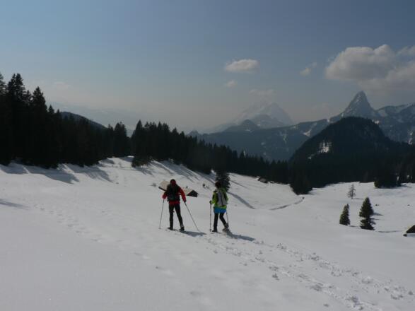 In einem Linksbogen verlassen wir auf dem verschneiten Güterweg das Almgebiet