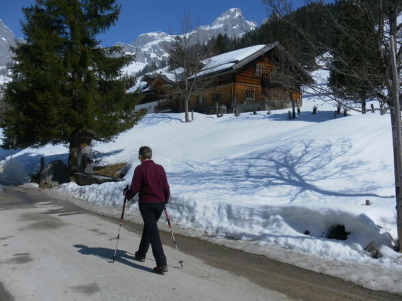 Bögreinalm