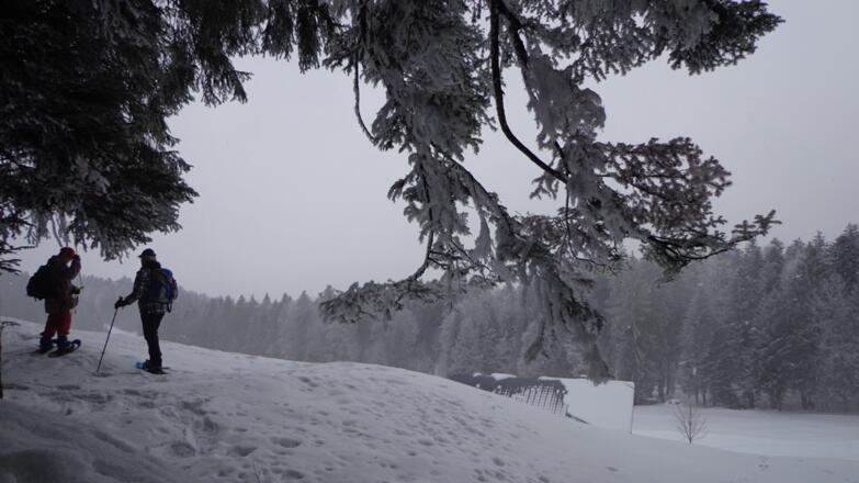 Kurz nach dem Klaratsberg